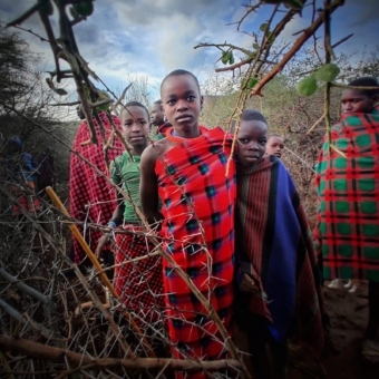 Lumii_20220123_080005615-01