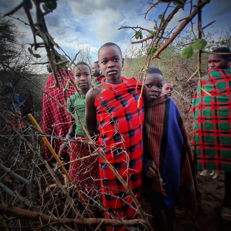 Lumii_20220123_080005615-01